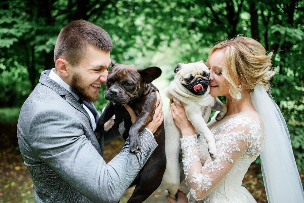 How to Incorporate Pets in Your Outdoor Wedding Party
