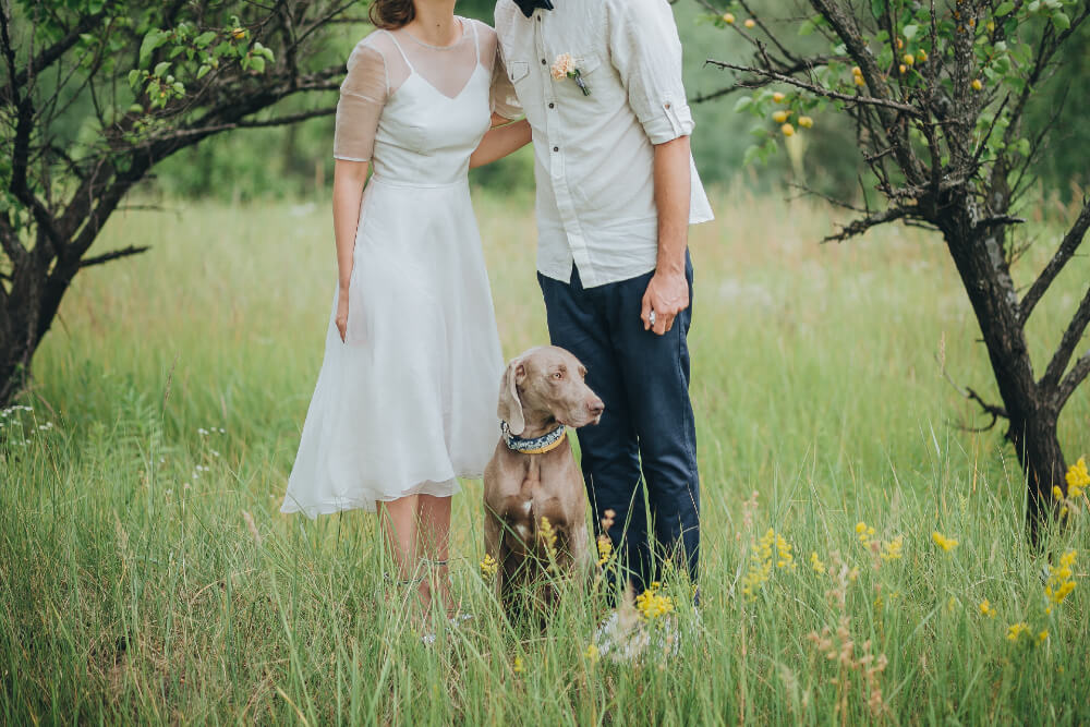 5 Tips for Including Your Dog in Your Wedding Ceremony