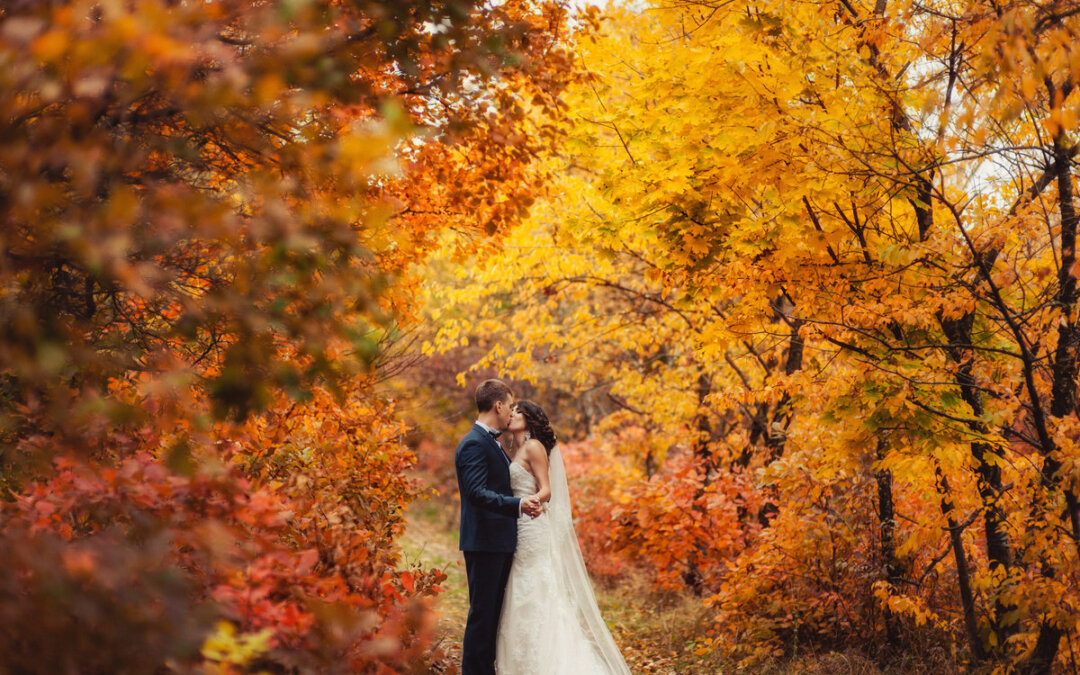 Seasonal Menu Options for Your Fall Wedding